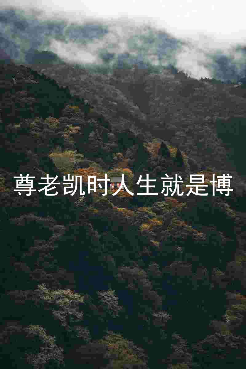 尊老凯时人生就是博