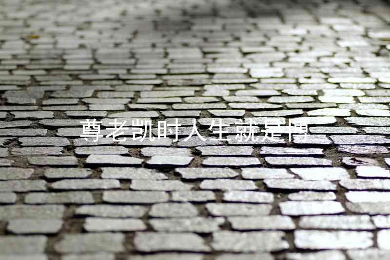 尊老凯时人生就是博