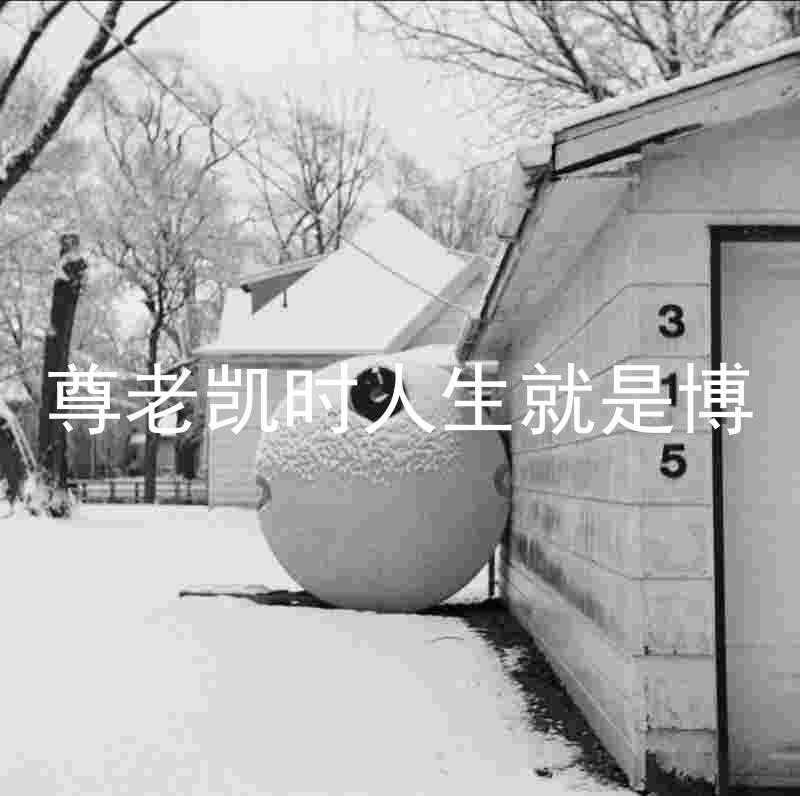 尊老凯时人生就是博