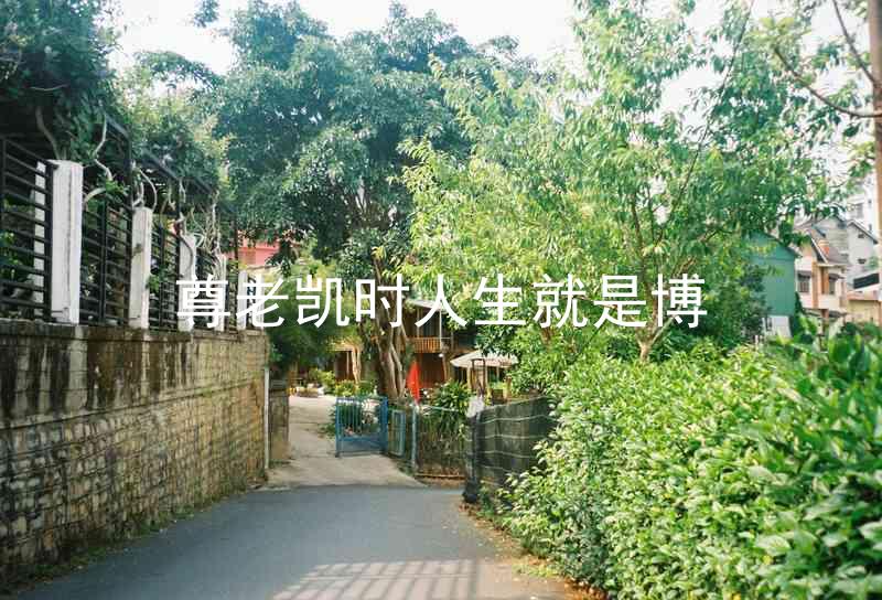 尊老凯时人生就是博